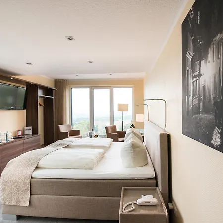 Design-konferenzhotel & Restaurant Steinernes Schweinchen Кассель