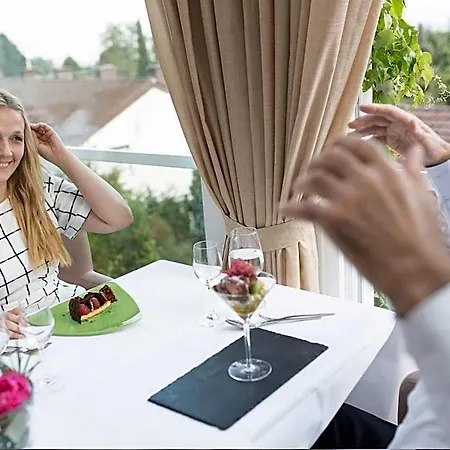 Hotel Design-konferenzhotel & Restaurant Steinernes Schweinchen 4*