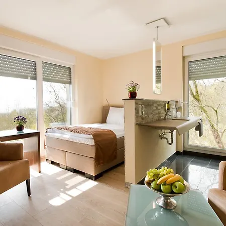 Отель Design-konferenzhotel & Restaurant Steinernes Schweinchen Кассель