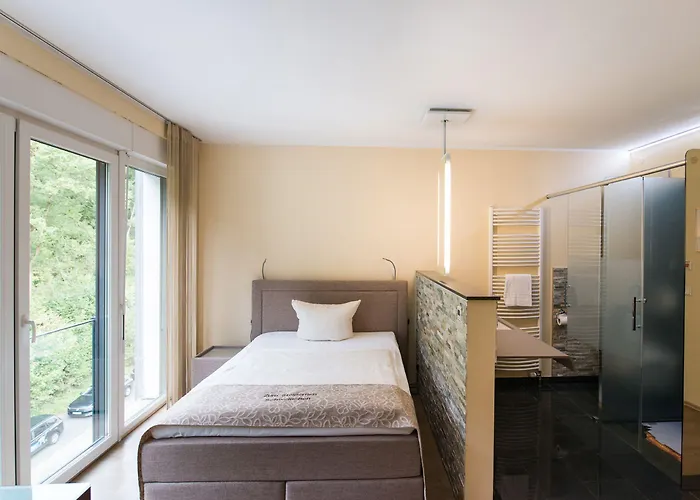 Hotel Design-konferenzhotel&restaurant Steinernes Schweinchen 4*