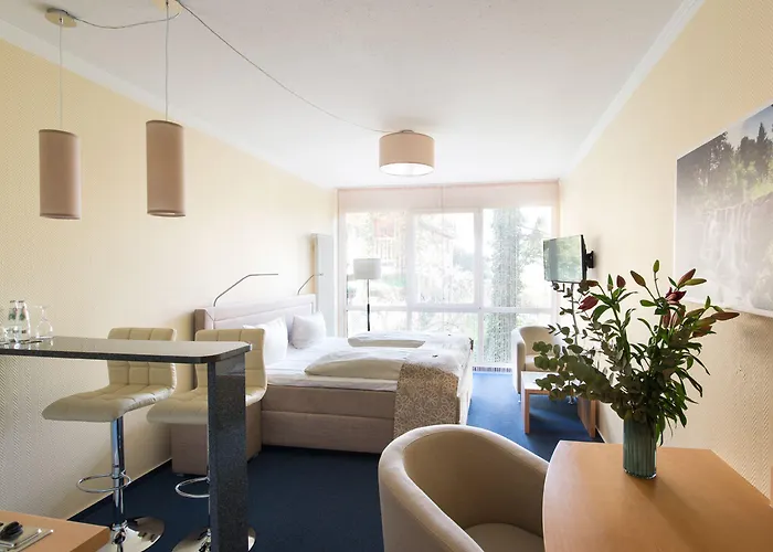 Hotel Design-konferenzhotel&restaurant Steinernes Schweinchen 4*