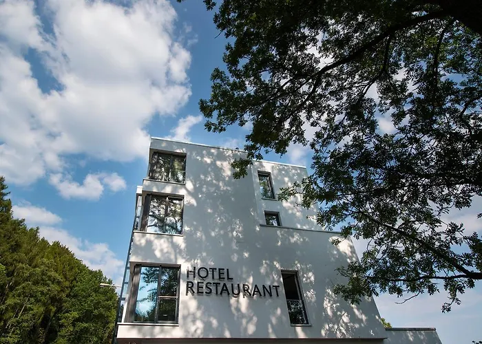 Hotel Design-konferenzhotel&restaurant Steinernes Schweinchen